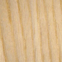 8441 Cathedral Birch - Gloss Finish